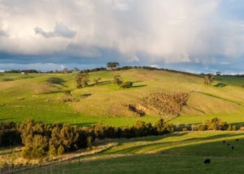 Arazi ve Arsa Farkı Nedir?