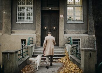 Apartman ve Sitelerde Evcil Hayvan Beslenmesi