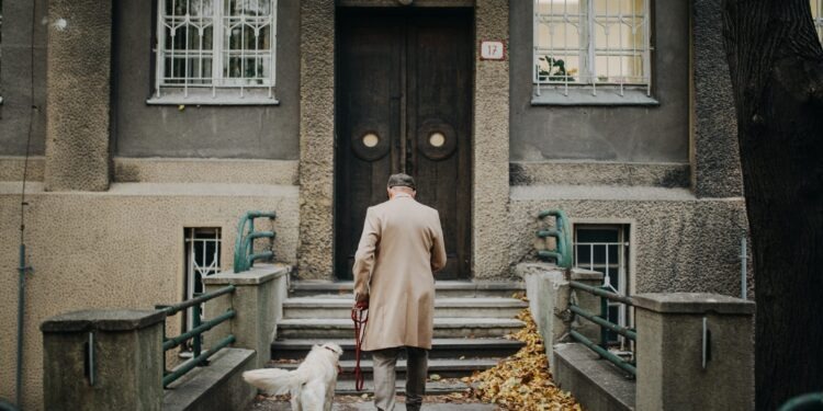 Apartman ve Sitelerde Evcil Hayvan Beslenmesi