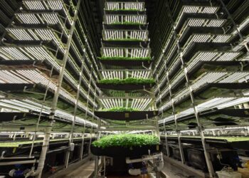 Sürdürülebilir ve Kârlı Bir Model: Kent Seraları