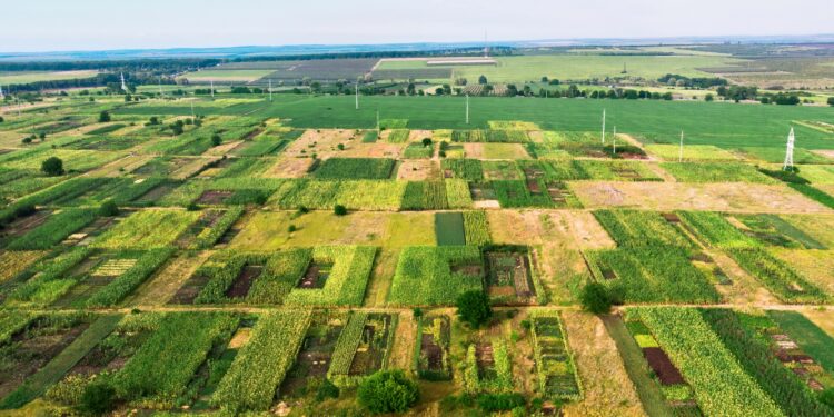 Müstakil Parsel Nedir?