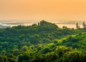 Sit Alanlarında Mülkiyet Hakkı