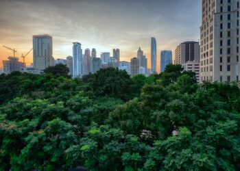 Karbonsuzlaşma Hemen Şimdi, Ama Nasıl?