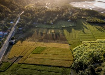 Toprak Yatırımında Yeni Yüzyıl Öncesi Son Çıkış