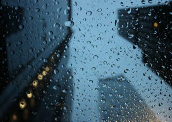 Dünyada Yeni Bir Konsept: Sünger Şehir