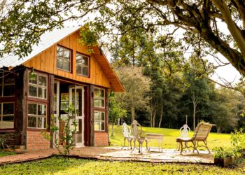 İklim Değişikliğiyle Mücadelede Ahşap Yapı Malzemeleri