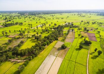 Neden Arsa Yatırımı?