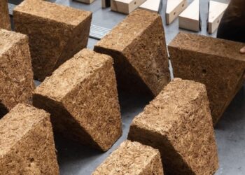 İnşaatta Sıfır Karbon Hedefinde Kenevirin Önemi