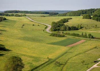 Arsa ve arazi yatırımı