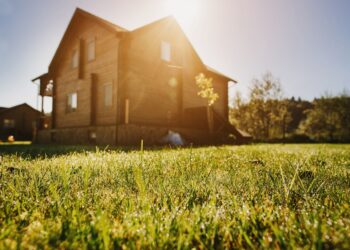 Ekolojik Yapı Malzemeleri Nelerdir?
