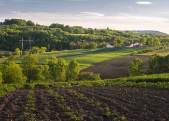 Tarlaya İmar İzni Nasıl ve Nereden Alınır?
