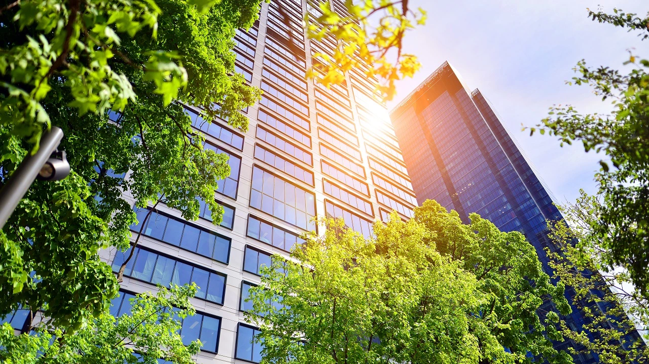 Yeşil Binalar Çevreyi Nasıl Korur?
