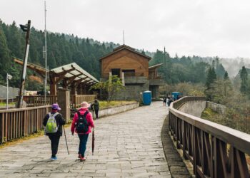 İyi Planlanmayan Ekoturizm Ülkeye Zarar Verir