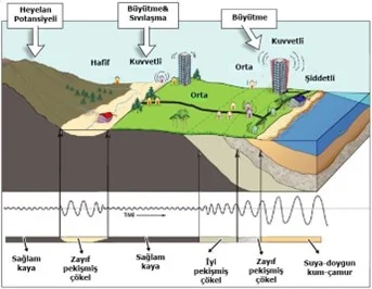 Şekil 2. Zeminin Deprem Dalgalarına (Sismik Dalgalar) Etkisi 