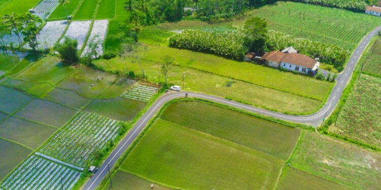 Tarım Arazilerindeki Kaçak Yapılaşmaya Sıkı Denetim Geldi!