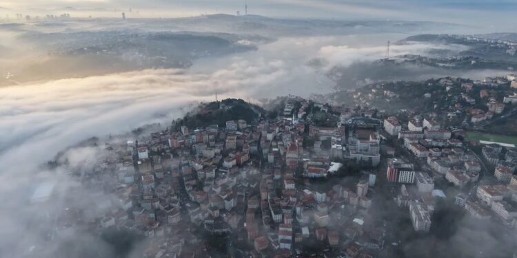 Isınan Kentler Soğumayan Planlar: İklim Krizinde Türkiye Şehirleri