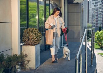 Apartmanda Evcil Hayvan Besleme Hakkı ve Sınırlamaları